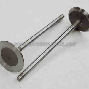 Forklift Valve, Intake – 2 PK