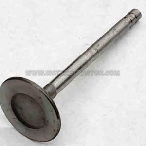 Forklift Valve, Intake – 2 PK
