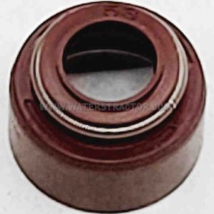Forklift Seal, Valve Stem