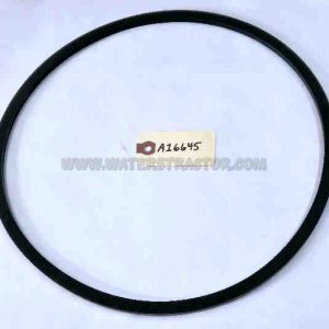 Case IH Internationa Sealing Ring