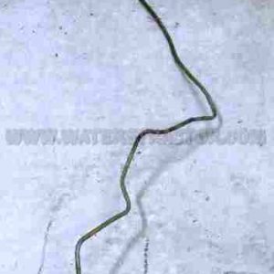 Case IH Internationa Brake Line, Left